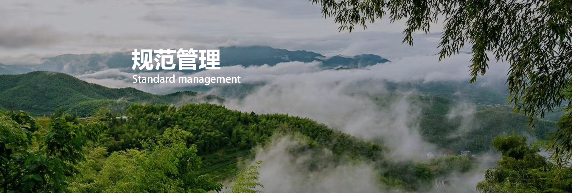 AGGAME��(�й���)���Źٷ���վ